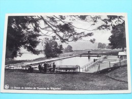 Le Bassin De Natation Du Domaine De Wégimont ( Thill ) Anno 1947 ( Zie Foto Voor Details ) !! - Soumagne