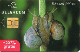 Escargot  Snail  Animal Télécarte Telefonkarten Phonecard R131 - Zonder Classificatie