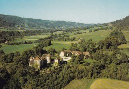 THORENS-GLIERES : Le Château De Thorens, La Ferme Et Le Massif De La BORNE. Vue Aérienne - Thorens-Glières