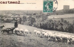 ETAMPES VUE SUR GUINETTE 91 ESSONNE TROUPEAU DE MOUTONS BERGER - Etampes