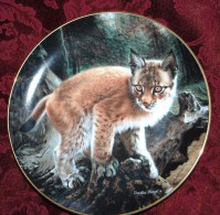 Baby Wild CAT "Exploring World" Hamilton Collectible PLATE By Charles Frace P39 - Sonstige & Ohne Zuordnung