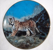 Baby COUGAR CAT "Ready For Adventure" Collectible Plate Hamilton Collector P31 - Other & Unclassified