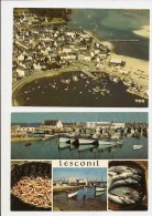 Prix Cassé - VENTE DIRECTE: Port De Pêche De LESCONIL En PLOBANNALEC- 2 Cartes De 1978 - Plobannalec-Lesconil