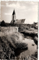 CP Milly La Forêt L'Eglise Et La Rivière L'Ecole 91 Essonne - Milly La Foret