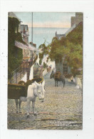 G-I-E , Cp, Angleterre , CLOVELLY  , ANIMAUX , ÂNE , High Street , Above New Inn  , Ed : Reilly , Vierge - Clovelly