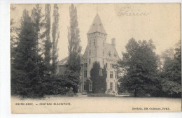 Meirelbeke - Château Blauwhuis - Merelbeke