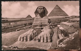 CPSM -  The Great Sphinx Of Giza Egypte - Gizeh