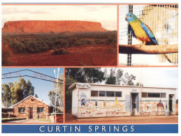 (155) Australia - NT - Curtain Springs - The Red Centre