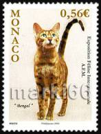 Monaco - 2010 - Intl. Feline Exposition - Mint Stamp - Otros & Sin Clasificación