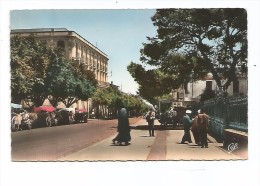 ALG.0088/ Guelma - L'Avenue Sadi-Carnot - Guelma