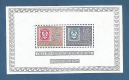 NORVEGIA-1972 -BF Nuovo Stl Con 2 Valori Da 80 O. E 1,00 K. -emissione CENTENARIO CORNO DI POSTA- In Ottime Condizioni. - Blocks & Sheetlets