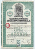 Negociacion Minera De San Rafael Y Anexas/MEXICO/Mexique/Action Au Porteur /1923   ACT102 - Bergbau