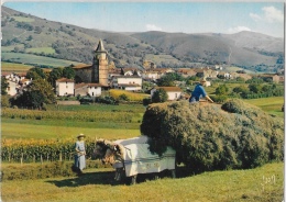 Aïnhoa (Basses-Pyrénées) - Village Type Du Pays Basque - Attelage De Boeufs - Edition Yvon - Carte E.K.B. N°1024 - Ainhoa