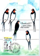LIECHTENSTEIN  Carte Maxi  1986  Oiseaux Hirondelles - Hirondelles