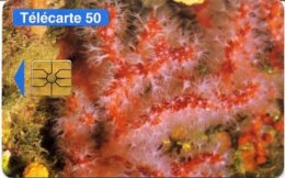 @+ Monaco 50 - Gem1A - Protection De La Nature - Ref : MCO-46 (01/95) - Monaco