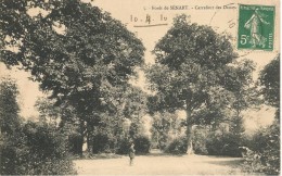 CPA-1910-91-SENART-FORET-CARREFOUR Des DAMES-TBE - Sénart