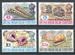 158 Territoire Britannique OCEAN INDIEN 1974 - Coquillage (Yvert 59/62) Neuf ** (MNH) Sans Charniere - Territorio Britannico Dell'Oceano Indiano