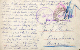 RUSSIA WWI POW POSTCARD NOVO NIKOLAEVSK TO HUNGARY - Briefe U. Dokumente