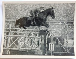 VIGNETTE JEUX OLYMPIQUES J.O BERLIN OLYMPIA 1936 PET CREMER DUSSELDORF BILD 71 KURT HASSE EQUITATION OFFICIER ALLEMAND - Trading-Karten