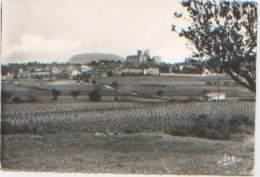 83, Var, Rians, Vue Générale Quartier Du Capitaine Jean, Dos Divisé, N'a Pas Circulé, Editions Tardy, Vigne, Vignoble - Rians