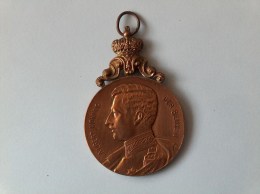 MEDAILLE ALBERT KONING DER BELGEN DE VRIJE WACHT MUZIEKFEEST MALL A/J 24-5-1925 - Royal / Of Nobility