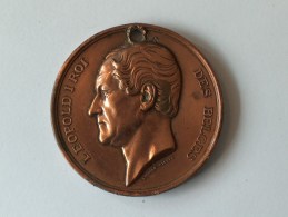 MEDAILLE LEOPOLD I ROI DES BELGES SOCIETE AGRICOLE DE L EST DE LA BELGIQUE - Unternehmen