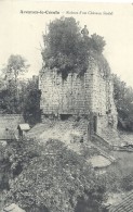 PAS DE CALAIS - 62 - SELECT 16 - AVESNES LE COMTE - Ruines D'un Château Féodal - Petite Animation - Avesnes Le Comte