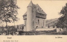 Crupet - Le Château -  Nels Série 2, N° 46 - Assesse