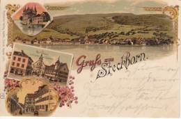 Steckborn - Farbige Litho - Rathaus Mit Krone Und Löwen, Schloss, Dorf - Steckborn