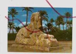 Cpm St001468 Le Sphinx De Sakkara - Gizeh