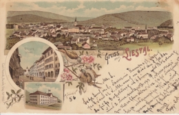 Liestal, Gruss Aus - Farbige Litho - Totalansicht, JnnereStadt, Kaserne - Liestal