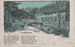 Litho Stich AK Schneckenmühle Sage Liebstadt Bei Glashütte Schlottwitz Weesenstein Pirna Börnersdorf Breitenau Döbra - Liebstadt