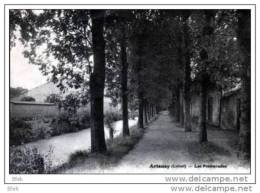 45. Loiret : Artenay .les Promenades . - Artenay