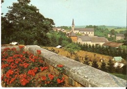 MOZET (5340) : Le Domaine De MOZET, Par Namèche. Camping à La Ferme. CPSM. - Gesves