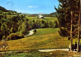 Hinterzarten - Feldbergblick - Hinterzarten