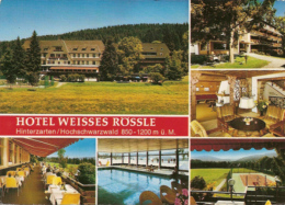 Hinterzarten - Hotel Weisses Rössle - Hinterzarten