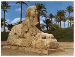 (111) Egypt  - Giza Sphinx - Gizeh