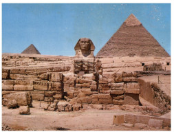 (111) Egypt  - Giza Great Sphinx - Gizeh