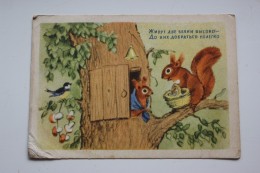 SQUIRREL HOUSE  - OLD Soviet PC 1954 -  Mushroom - Champignon - LITTLE TIT - Mushrooms