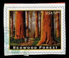 Etats-Unis / United States (Scott No.4378 - Red Wood Forest) (o) Cut Square / Découpé - Other & Unclassified