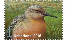 Nederland / The Netherlands - Postfris / MNH - Griend, Vogels Van Het Wad (5) 2016 - Ungebraucht