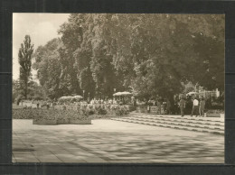 82b * MÜHLHAUSEN * NAHERHOLUNGSZENTRUM SCHWANENTEICH * TERRASSE *!! - Muehlhausen