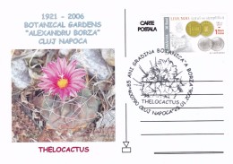 Cactus - Enveloppe - Carte - Document - Cactussen