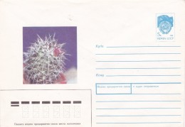 Cactus - Enveloppe - Carte - Document - Cactussen