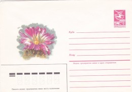 Cactus - Enveloppe - Carte - Document - Cactussen