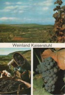 Kaiserstuhl - Mehrbildkarte 2 - Kaiserstuhl