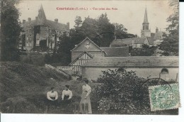 28 - COUTALAIN - T.Belle Vue Animée Prise Des Prés - Courtalain