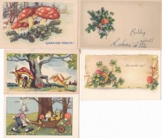 5x  POSTCARDS,GRETTING CARD,MUSHROOMS,RABBIT,CLOVER,6/10 CM,ROMANIA - Mushrooms