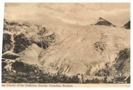 (911) Very Old Postcard - Carte Ancienne - Canada - Selkirks Glacier - Lake Louise