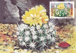 Cactus - Carte Maximum - Cactusses